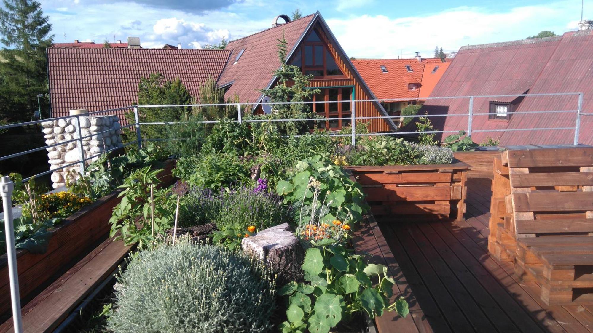 Family House - Apartmany Zuzana Stará Lesná Екстериор снимка